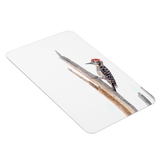 Magnet Flexible Pic à épaulettes (Côté Droit)