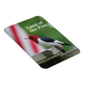 Magnet Flexible Pic à tête rouge 2 (Côté Droit)