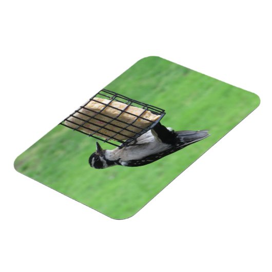 Magnet Flexible Pic de Downy sur le aimant d'alimentation (Côté Gauche)