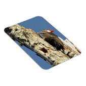 Magnet Flexible Pic pilé (Côté Droit)