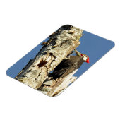 Magnet Flexible Pic pilé (Côté Gauche)