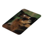 Magnet Flexible Pieds miniatures 2 (Côté Gauche)