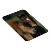 Magnet Flexible Pieds miniatures 2 (Côté Droit)