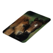 Magnet Flexible Pieds miniatures 2 (Côté Gauche)