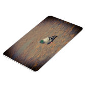 Magnet Flexible Pigeon (Côté Gauche)