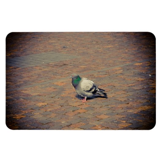 Magnet Flexible Pigeon (Horizontal)