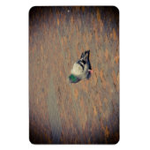 Magnet Flexible Pigeon (Vertical)