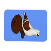 Magnet Flexible Pigeon à aile rouge (Horizontal)