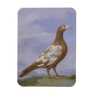Magnet Flexible Pigeon porte-pieux rouge (huile sur toile)