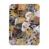 Magnet Flexible Pigs Galore (Vertical)