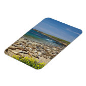 Magnet Flexible Pile des phoques éléphants (Côté Gauche)