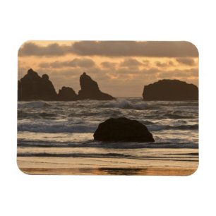 Magnet Flexible Piles marines sur la plage à Bandon, Oregon