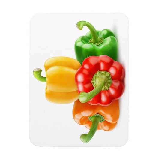 Magnet Flexible Piments multicolores (Vertical)