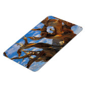 Magnet Flexible Pin Bristlecone (Côté Gauche)