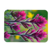 Magnet Flexible Pinceau de lavande (Horizontal)