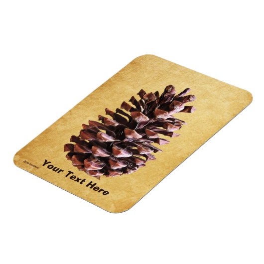 Magnet Flexible Pine Cône Sur Papier Vintage (Côté Gauche)