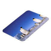 Magnet Flexible Pingouin | Antarctique, péninsule Antarctique (Côté Gauche)