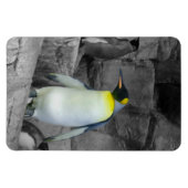 Magnet Flexible Pingouin d'empereur (Horizontal)