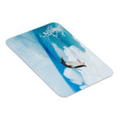 Magnet Flexible Pingouin doux, Pygoscelis Papouasie, sauter (Côté Droit)