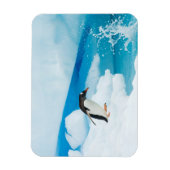 Magnet Flexible Pingouin doux, Pygoscelis Papouasie, sauter (Vertical)