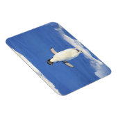 Magnet Flexible Pingouin drôle sur la glace photo (Côté Droit)