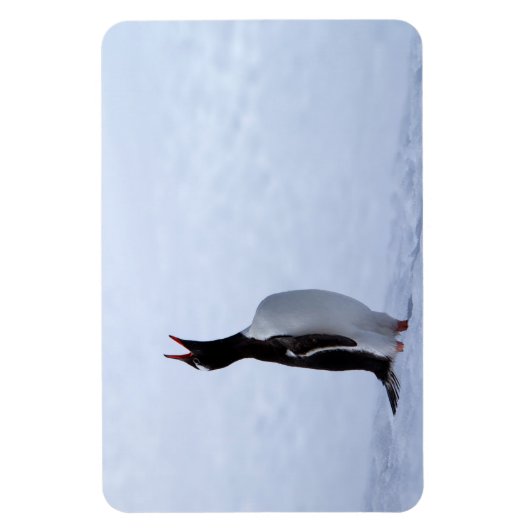 Magnet Flexible Pingouin Gentoo (Vertical)