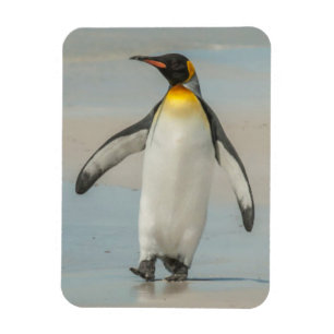 Magnet Flexible Pingouin marchant sur la plage