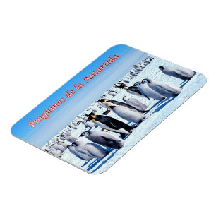 Magnet Flexible Pingouins de l'Antarctique -
