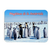Magnet Flexible Pingouins de l'Antarctique - (Horizontal)