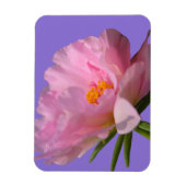 Magnet Flexible Pink Peony (Vertical)