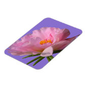 Magnet Flexible Pink Peony (Côté Gauche)