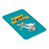 Magnet Flexible Pinky et le cerveau | Afficher le logo (Côté Droit)