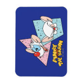 Magnet Flexible Pinky et le cerveau | Graphiques de caractères rét (Vertical)