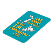 Magnet Flexible Pinky et le cerveau | Vous Pensez ? (Côté Gauche)