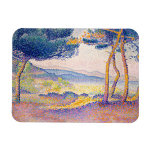 Magnet Flexible Pins le long du rivage