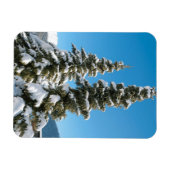 Magnet Flexible Pins sous la neige (Horizontal)