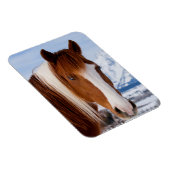 Magnet Flexible Pinto Horse Le mont Moran en hiver (Côté Droit)