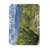 Magnet Flexible Pipe d'orgue Cactus, Arbuste Ocotillo, Monts Ajo (Vertical)