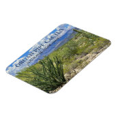 Magnet Flexible Pipe d'orgue Cactus, Arbuste Ocotillo, Monts Ajo (Côté Gauche)