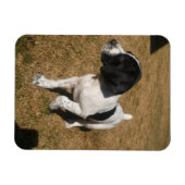 Magnet Flexible Piper piqué (Horizontal)