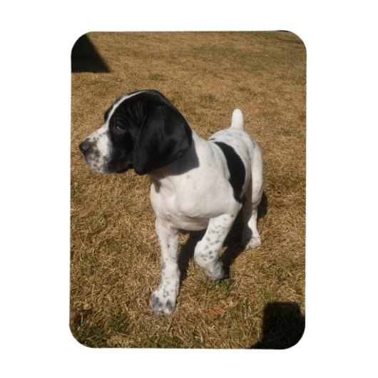 Magnet Flexible Piper piqué (Vertical)