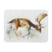 Magnet Flexible Pisanello Buck 2006 (Horizontal)