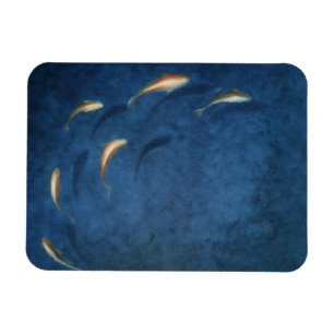 Magnet Flexible Piscine de poisson rouge