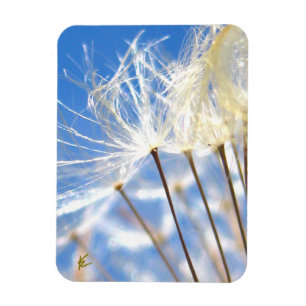 Magnet Flexible Pissenlit dansant Poof, Heureux, Joyeux, Nature
