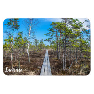 Magnet Flexible Piste en bois sur l'aimant des marais