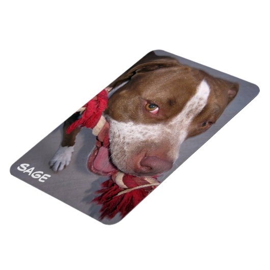 Magnet Flexible Pitbull pas cher (Côté Gauche)