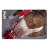 Magnet Flexible Pitbull pas cher (Horizontal)