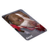 Magnet Flexible Pitbull pas cher (Côté Droit)