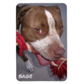 Magnet Flexible Pitbull pas cher (Vertical)