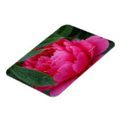 Magnet Flexible Pivoine Rose Timide (Côté Gauche)